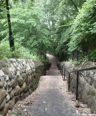 University Woods - Bronx, NY