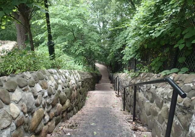 University Woods - Bronx, NY