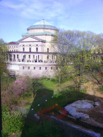 University Woods - Bronx, NY