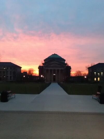 University Woods - Bronx, NY