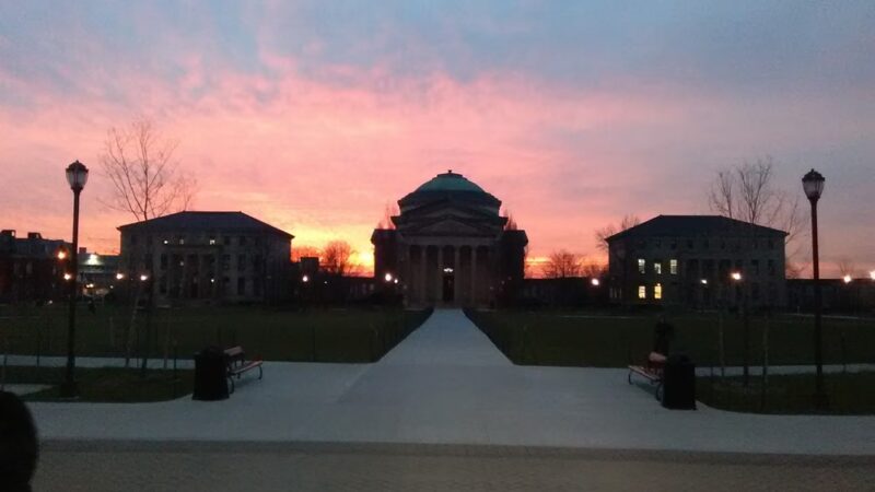 University Woods - Bronx, NY
