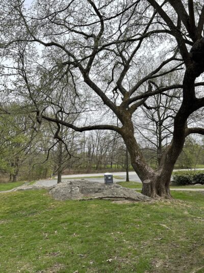 Greenwood Local Park - Brookeville, MD