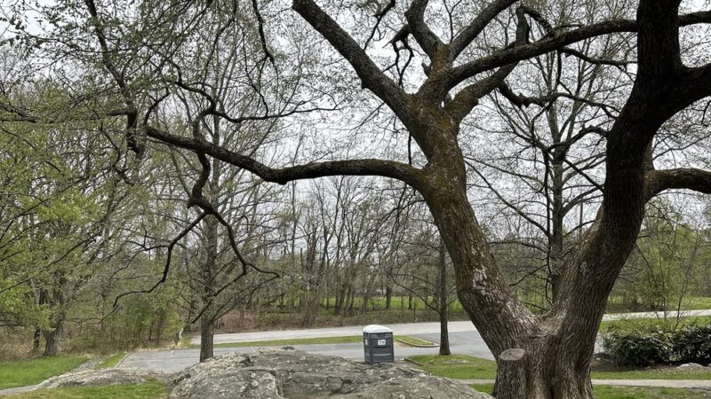 Greenwood Local Park - Brookeville, MD