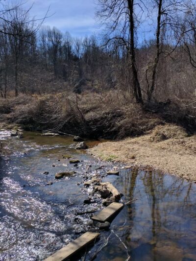 Hawlings River Stream Valley Park - Brookeville, MD