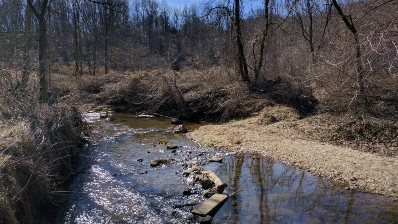 Hawlings River Stream Valley Park - Brookeville, MD