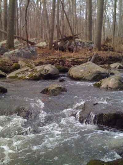 Hawlings River Stream Valley Park - Brookeville, MD