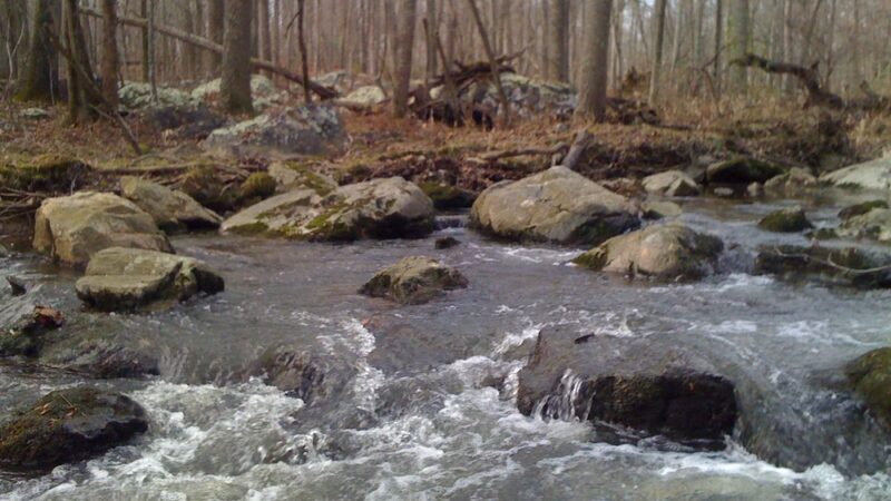 Hawlings River Stream Valley Park - Brookeville, MD