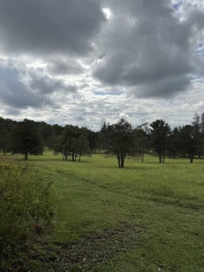Hawlings River Stream Valley Park - Brookeville, MD