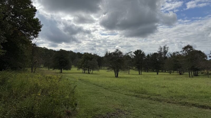 Hawlings River Stream Valley Park - Brookeville, MD