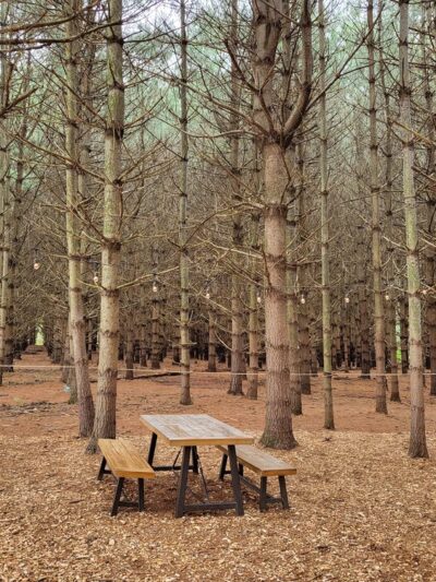 Hawlings River Stream Valley Park - Brookeville, MD