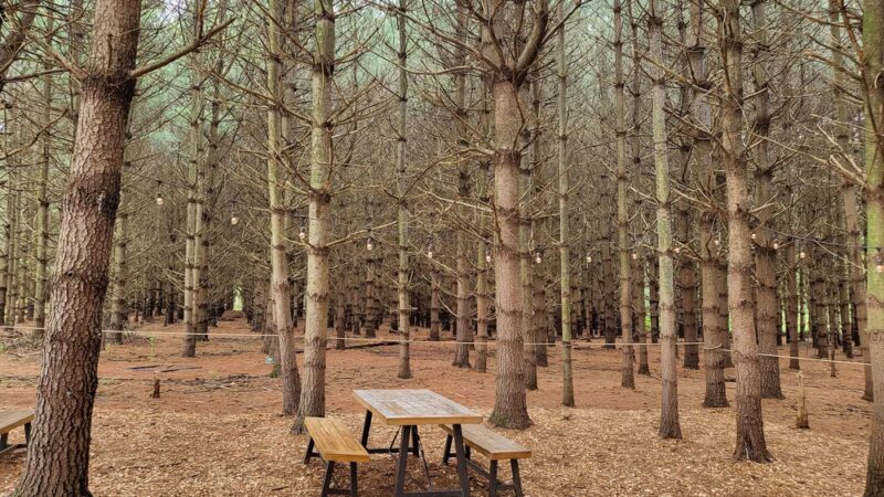 Hawlings River Stream Valley Park - Brookeville, MD