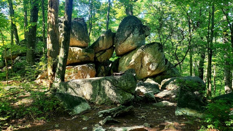 Hawlings River Stream Valley Park - Brookeville, MD