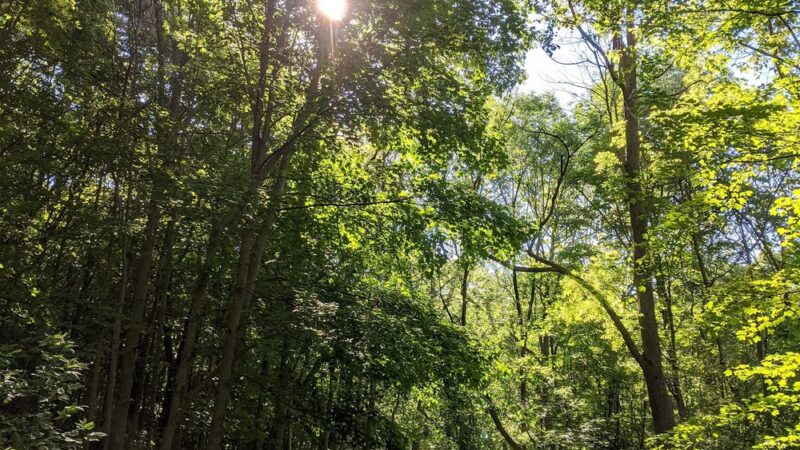 Mary Knoll Park - Brookfield, WI