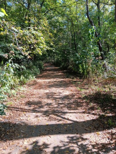 Mary Knoll Park - Brookfield, WI