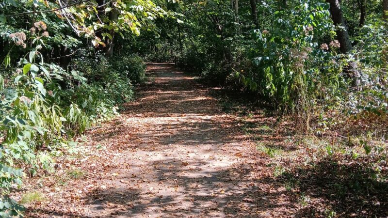 Mary Knoll Park - Brookfield, WI