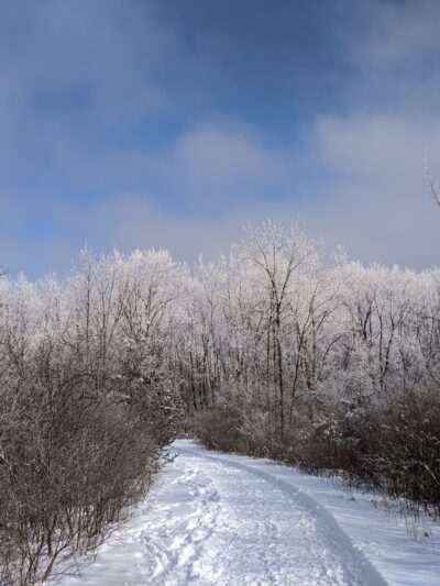Mary Knoll Park - Brookfield, WI