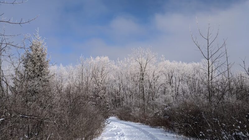 Mary Knoll Park - Brookfield, WI