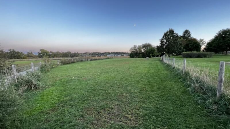 Mitchell Park Dog Exercise Areas - Brookfield, WI