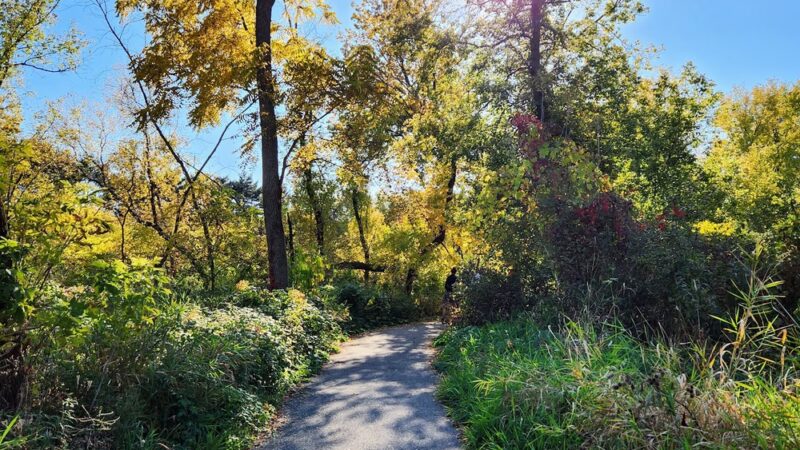 Mitchell Park Dog Exercise Areas - Brookfield, WI