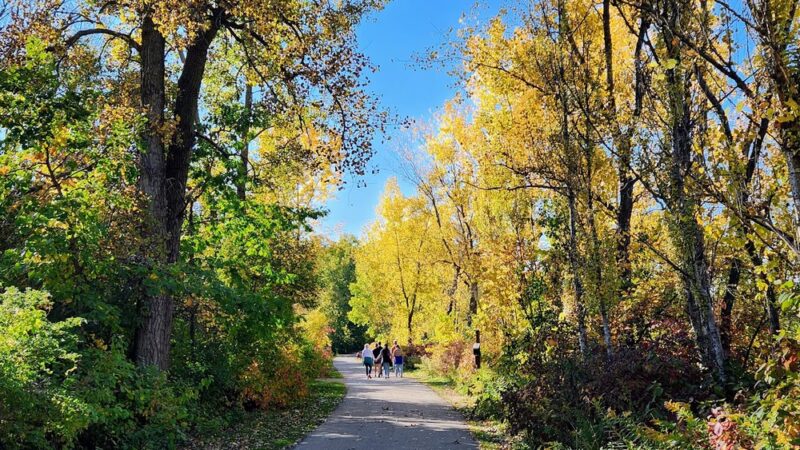 Mitchell Park Dog Exercise Areas - Brookfield, WI