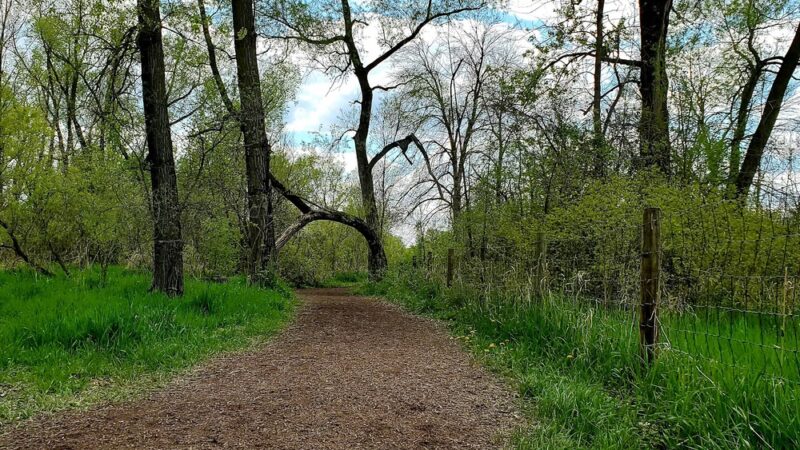 Mitchell Park Dog Exercise Areas - Brookfield, WI