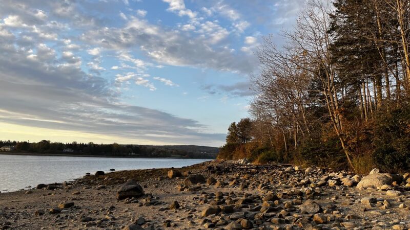 Oceanfront Camping at Reach Knolls - Brooklin, ME