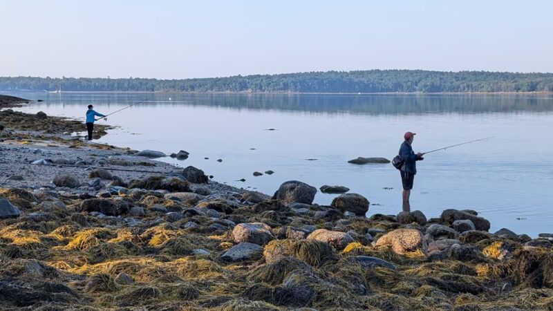 Oceanfront Camping at Reach Knolls - Brooklin, ME