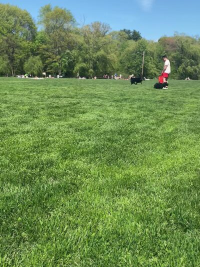 Amory Playground - Brookline, MA