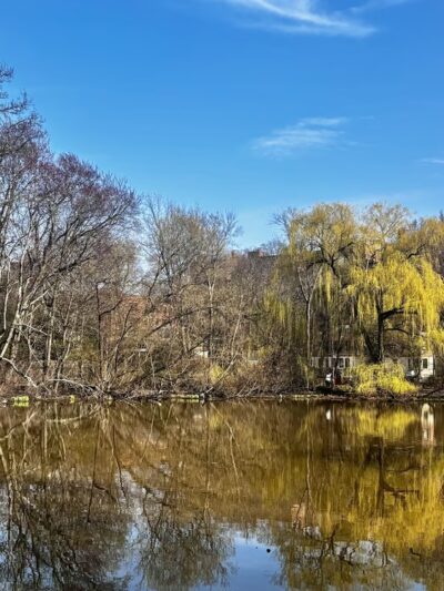 Amory Playground - Brookline, MA