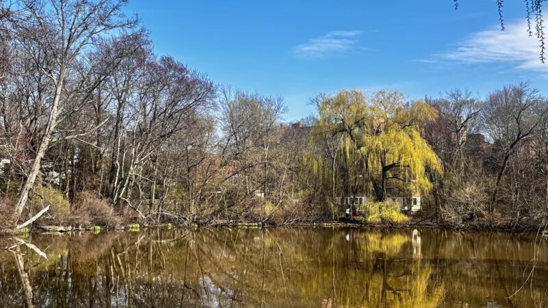 Amory Playground - Brookline, MA