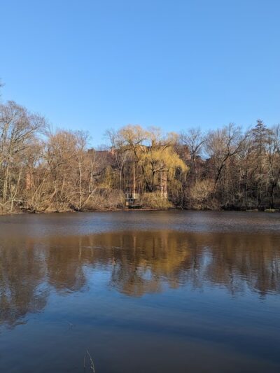 Amory Playground - Brookline, MA