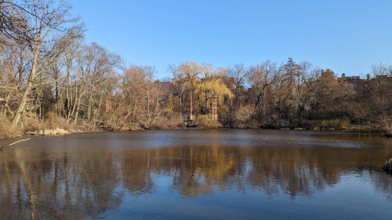Amory Playground - Brookline, MA