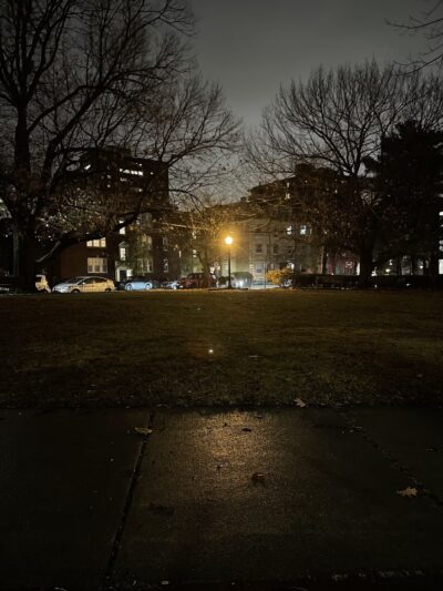 St Marks Park - Brookline, MA