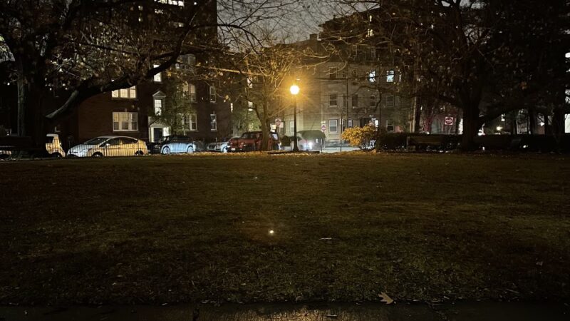 St Marks Park - Brookline, MA