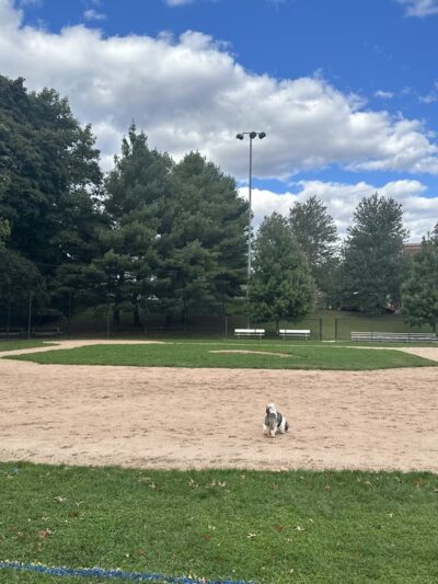 Brookline Avenue Playground - Brookline, MA