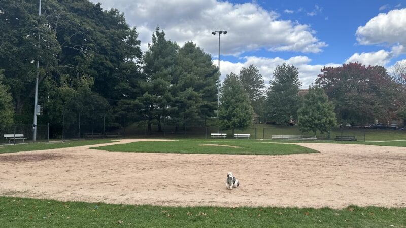 Brookline Avenue Playground - Brookline, MA