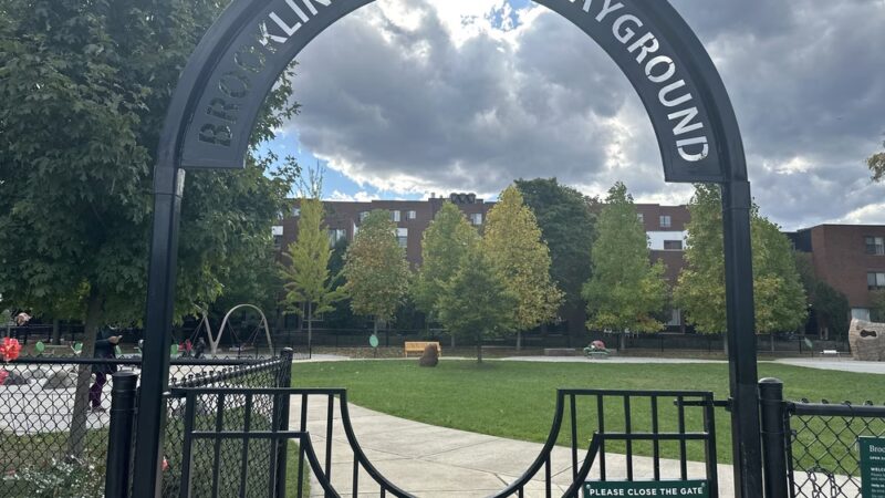 Brookline Avenue Playground - Brookline, MA