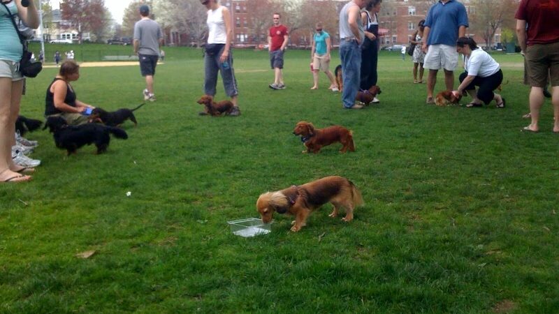 Brookline Avenue Playground - Brookline, MA
