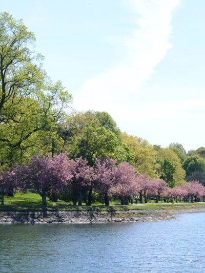 Brookline Reservoir Park - Brookline, MA