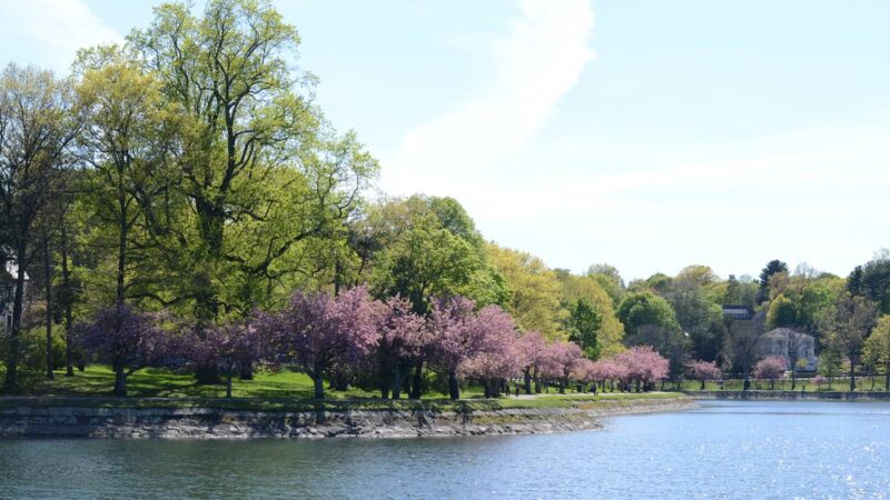 Brookline Reservoir Park - Brookline, MA