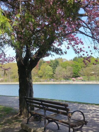 Brookline Reservoir Park - Brookline, MA