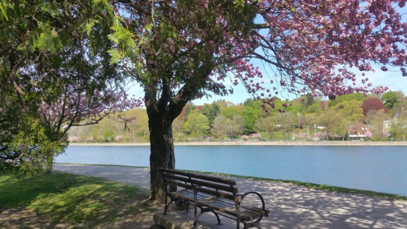Brookline Reservoir Park - Brookline, MA