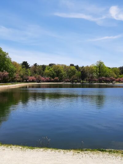 Brookline Reservoir Park - Brookline, MA