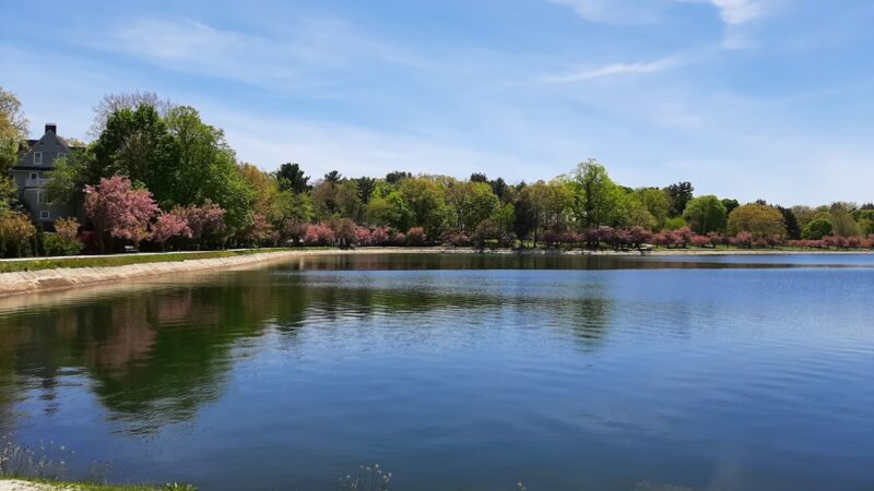 Brookline Reservoir Park - Brookline, MA