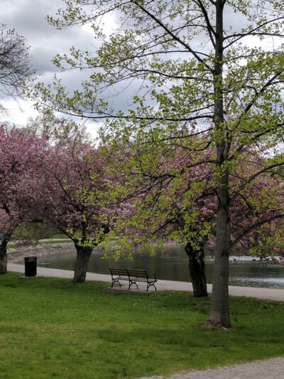 Brookline Reservoir Park - Brookline, MA