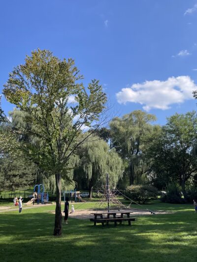 Griggs Park - Brookline, MA