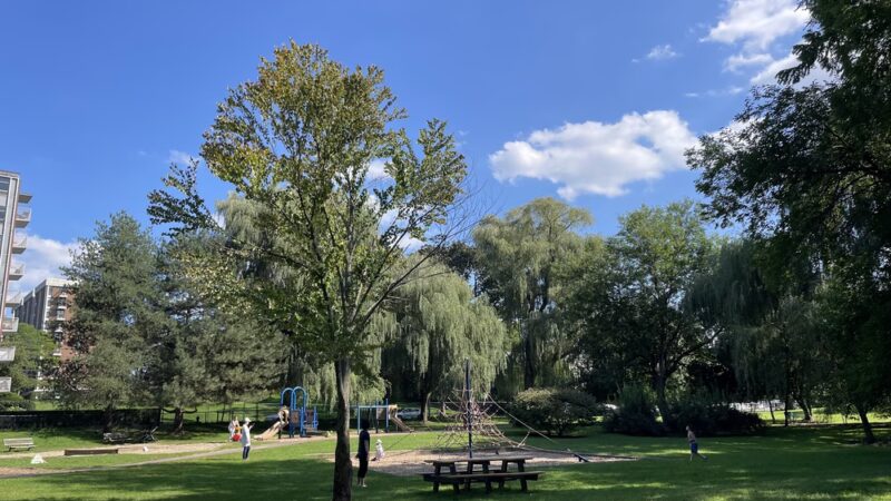 Griggs Park - Brookline, MA