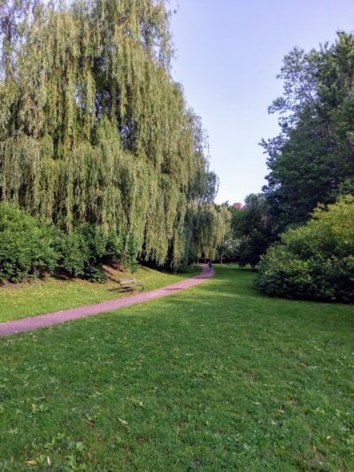 Griggs Park - Brookline, MA