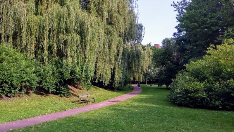 Griggs Park - Brookline, MA