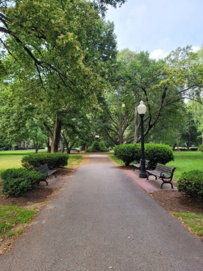 Knyvet Square - Brookline, MA